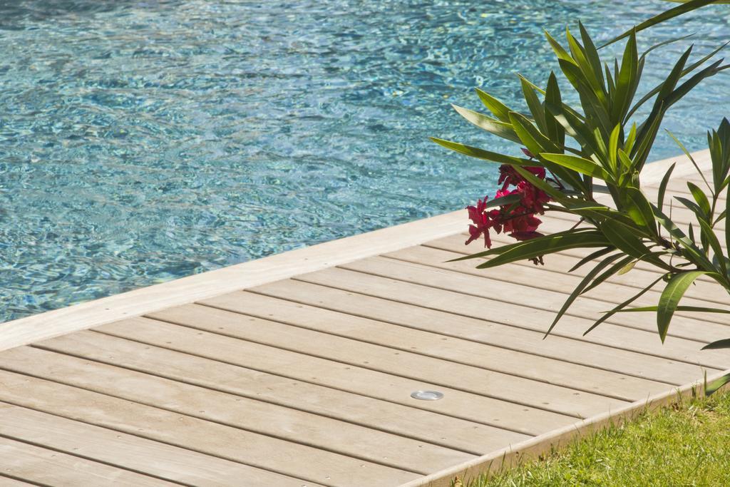 Le Clos Des Romarins Saint-Palais-sur-Mer Ngoại thất bức ảnh